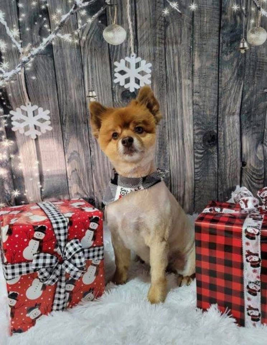 How Simby's came to be...