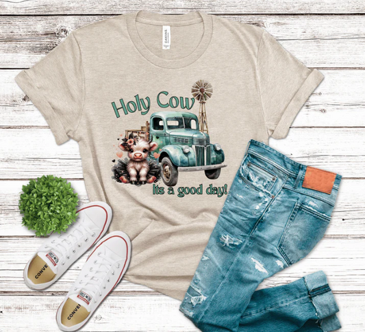 Its A Good Day Highland Cow / Graphic T-Shirt